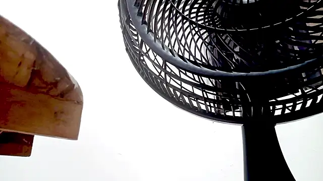 PetiteIvoryQueen19 online show from February 14, 2026, 1:35 am