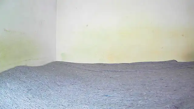 fern tlk online show from January 19, 2025, 7:58 pm