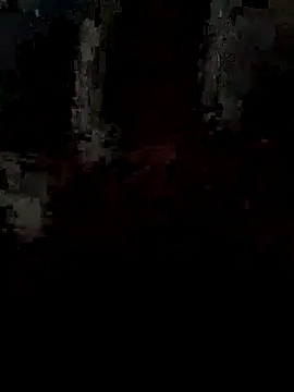 pintuS40 online show from September 15, 2025, 2:22 am