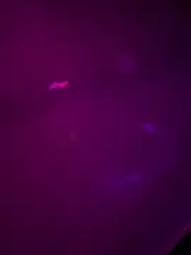 Alahia7demon online show from March 22, 2026, 10:18 am