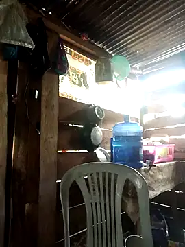 Huebolocko online show from January 1, 2025, 3:57 pm