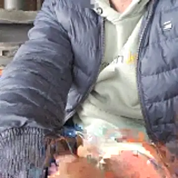 Snapshot of Lumpi1988A chatting on February 19, 2026, 11:39 am Lumpi1988A online show from February 19, 2026, 11:39 am