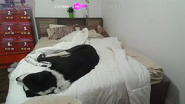 Kittyymaze1 online show from February 25, 2025, 1:28 pm