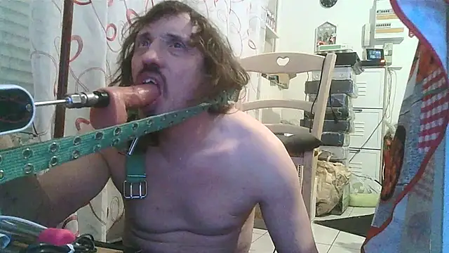 cyril020202 online show from January 8, 2026, 11:01 am