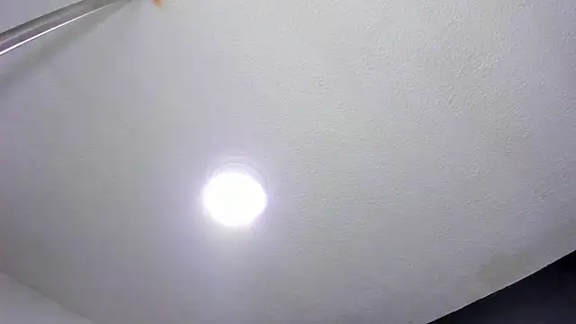 ZachaTompson online show from December 17, 2025, 8:37 pm