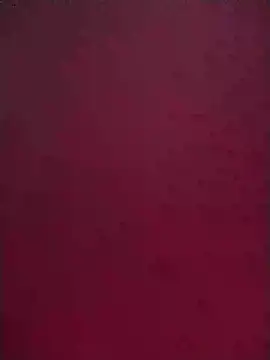 Norve26 online show from February 2, 2025, 1:08 pm