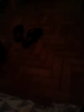 lobomisterioso13 online show from December 11, 2024, 1:26 am