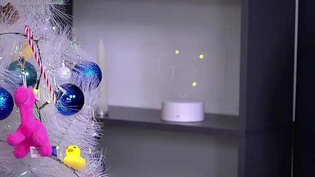 PollyBeev online show from November 23, 2025, 7:30 am