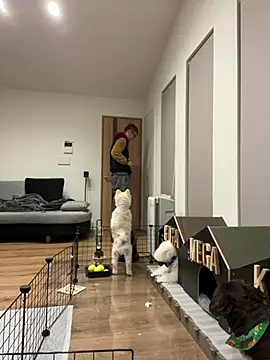 kensnb online show from January 8, 2025, 8:39 pm