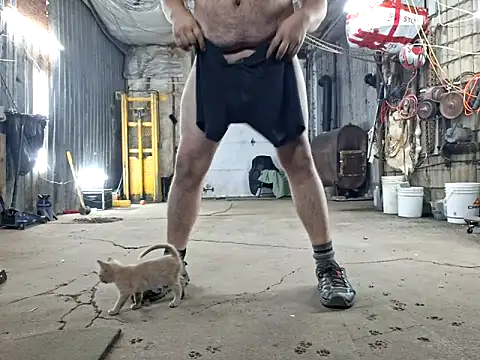 Snapshot of Frankdick01 chatting on November 8, 2025, 4:12 am Frankdick01 online show from November 8, 2025, 4:12 am