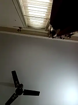 blr boi online show from December 3, 2025, 6:54 am