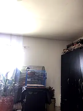 Snapshot of Miss_oliviaa chatting on October 22, 2025, 2:06 pm Miss oliviaa online show from October 22, 2025, 2:06 pm