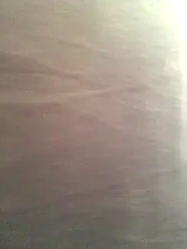 Snapshot of Miss_oliviaa chatting on November 13, 2025, 3:33 pm Miss oliviaa online show from November 13, 2025, 3:33 pm