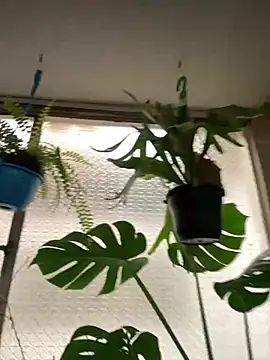 Miss oliviaa online show from March 10, 2026, 6:02 pm