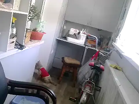 TanyaSweet634 online show from February 22, 2025, 10:40 am