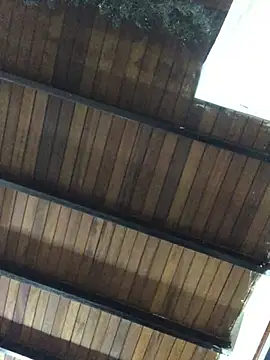 isacalejandroo online show from January 25, 2025, 4:02 am