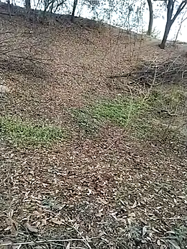 jellydicks online show from February 28, 2026, 11:55 am