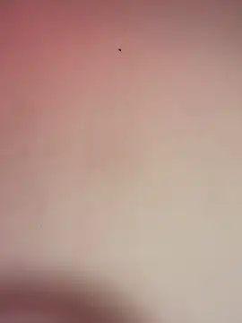 Snapshot of _Chartlotte chatting on December 11, 2024, 11:32 pm  Chartlotte online show from December 11, 2024, 11:32 pm