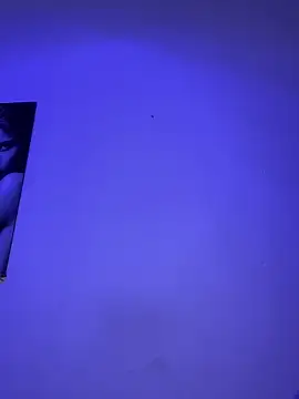 Snapshot of _Chartlotte chatting on February 4, 2025, 12:19 am  Chartlotte online show from February 4, 2025, 12:19 am