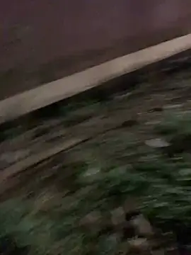 Snapshot of Black_mamba_madingo chatting on January 17, 2025, 6:33 pm Black mamba madingo online show from January 17, 2025, 6:33 pm