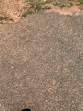 Snapshot of Black_mamba_madingo chatting on February 15, 2025, 12:11 pm Black mamba madingo online show from February 15, 2025, 12:11 pm