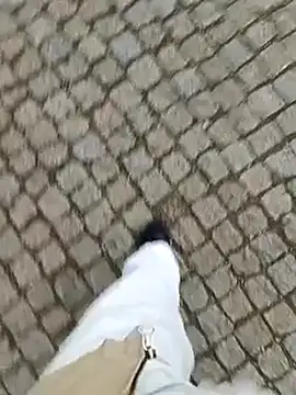 Snapshot of domexib chatting on February 15, 2025, 5:39 pm domexib online show from February 15, 2025, 5:39 pm