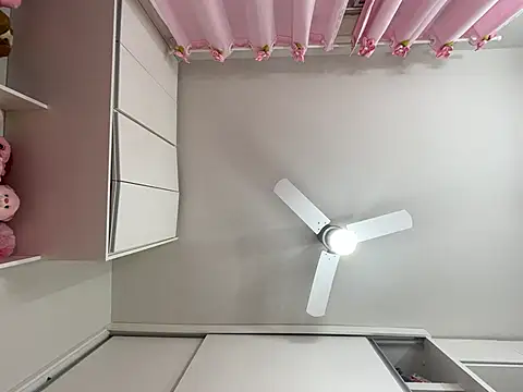 lariic online show from March 10, 2025, 12:48 pm