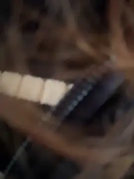 im lorein online show from January 3, 2025, 1:14 pm