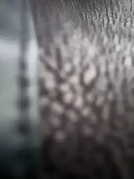 im lorein online show from January 28, 2025, 1:05 pm