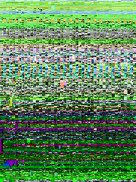 ahross online show from October 13, 2025, 9:53 am