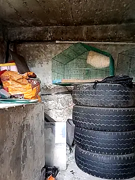 Elvishcassie  online show from October 1, 2025, 6:58 pm