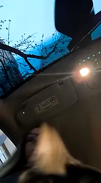 SukyGirl online show from February 3, 2025, 5:40 am