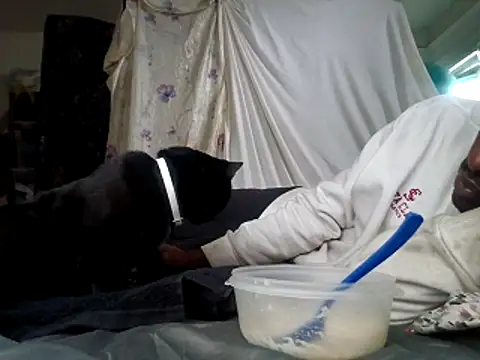 DevinToore online show from December 15, 2025, 6:01 pm