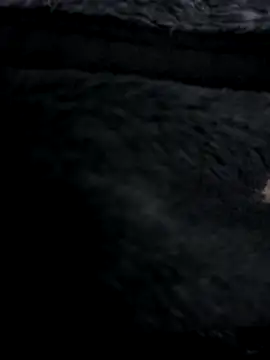 Snapshot of MetalJoint2 chatting on November 30, 2025, 3:32 am MetalJoint2 online show from November 30, 2025, 3:32 am