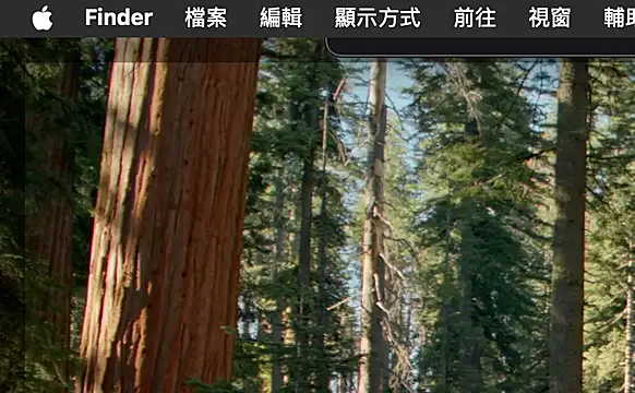 ex199212 online show from March 8, 2025, 1:50 am