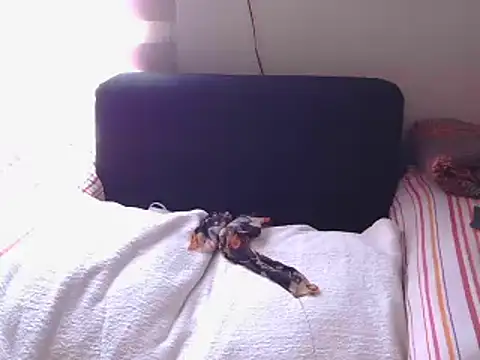 Mollybrookexx online show from December 11, 2024, 8:04 am