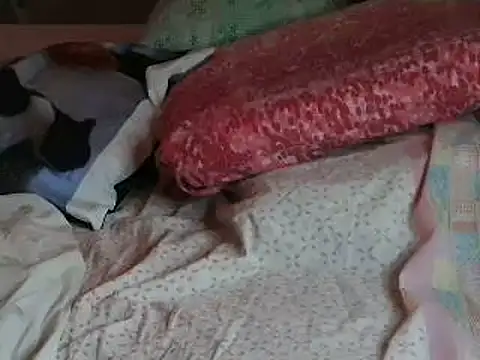 VeneRed online show from April 6, 2026, 6:20 pm