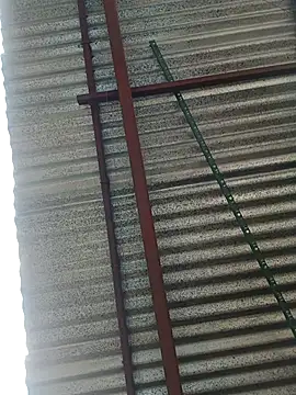 elputoflaco online show from January 9, 2026, 11:46 am