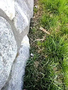 DrownMentallyyy online show from March 22, 2025, 12:35 pm