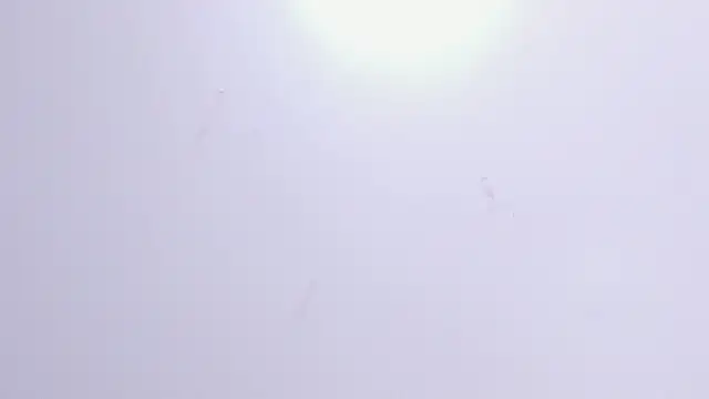 Violet Grace online show from February 17, 2025, 6:26 pm