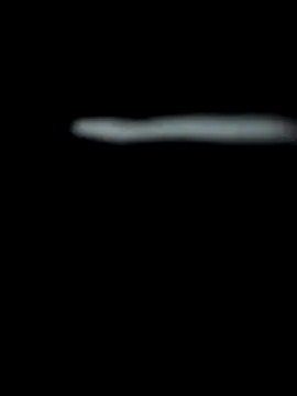 Snapshot of 18_7polla chatting on December 1, 2025, 3:00 am 18 7polla online show from December 1, 2025, 3:00 am