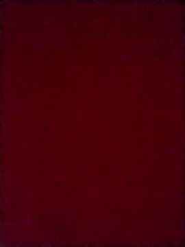 Snapshot of Luci_foxx chatting on October 8, 2025, 3:59 am Luci foxx online show from October 8, 2025, 3:59 am