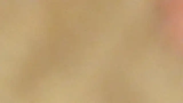 Snapshot of AraCopple chatting on December 31, 2024, 3:45 am AraCopple online show from December 31, 2024, 3:45 am