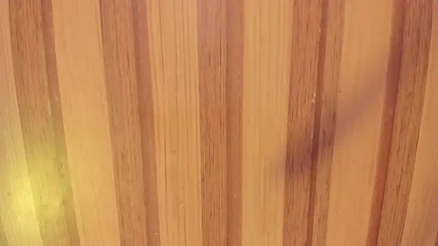 Taylor  cooper online show from November 15, 2025, 6:37 pm