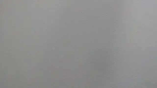 Snapshot of Dyla_n18 chatting on January 4, 2025, 9:41 pm Dyla n18 online show from January 4, 2025, 9:41 pm