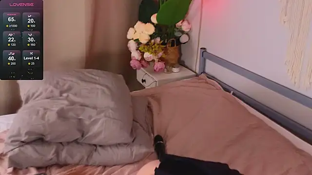 Devilsss toy online show from December 25, 2024, 5:26 pm