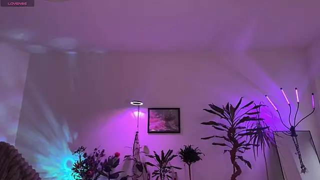 PaulaPratt online show from March 31, 2026, 5:19 am