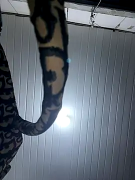 luara1988 online show from December 14, 2025, 11:53 pm