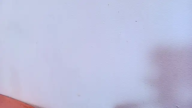 Amy wats0n online show from March 12, 2025, 10:07 pm