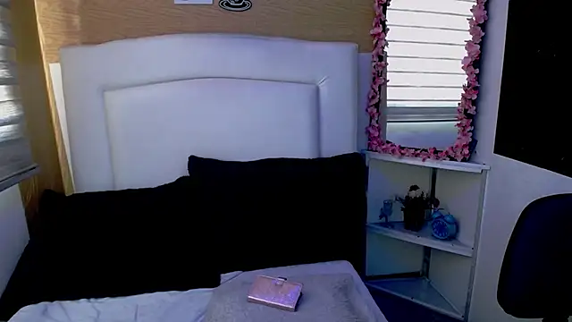 Snapshot of palmer_mIix chatting on December 5, 2024, 1:17 pm palmer mIix online show from December 5, 2024, 1:17 pm